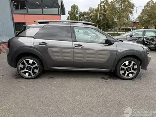 Citroën C4 cactus 2018 photo 6