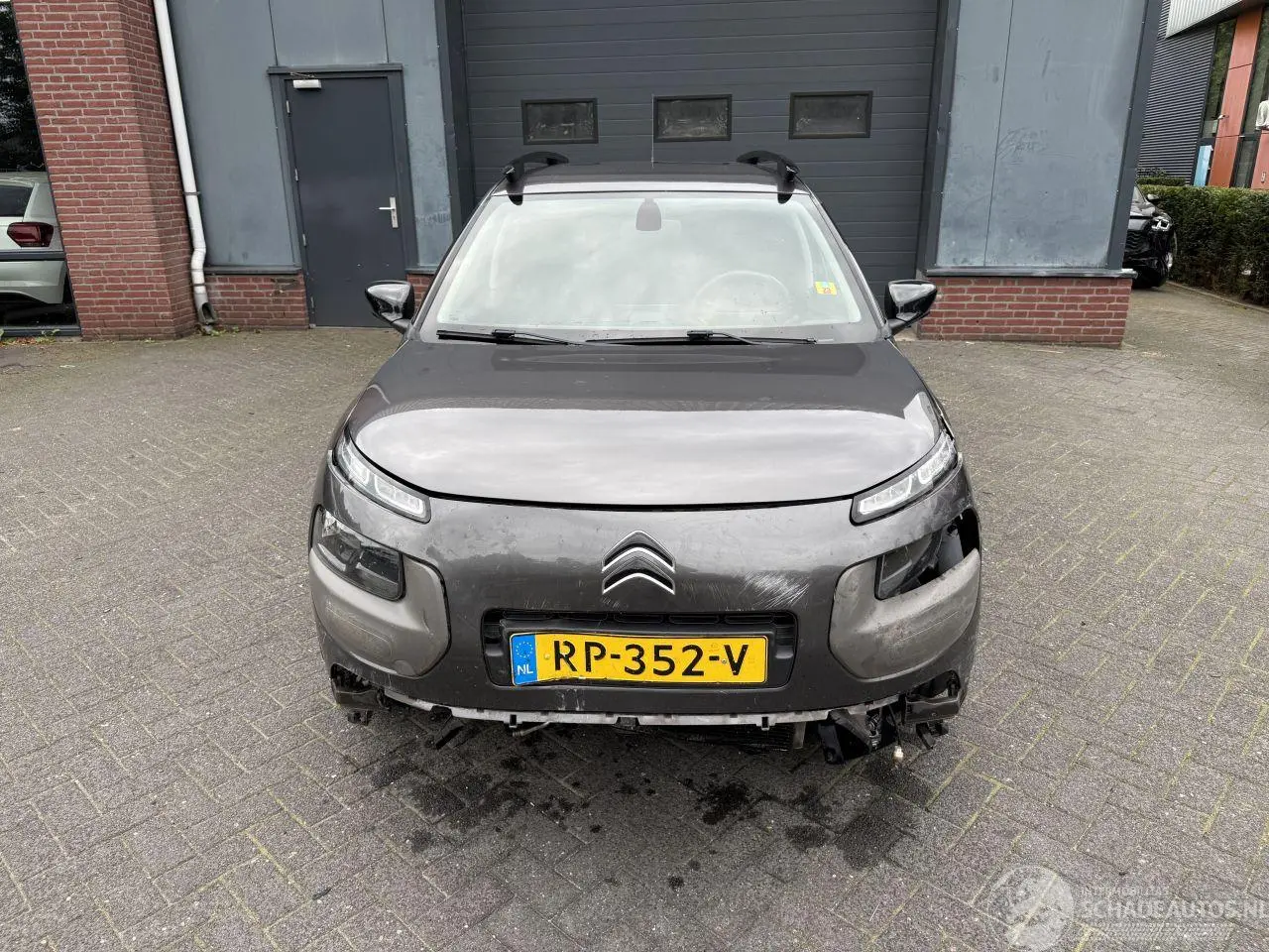 Citroën C4 cactus 2018 photo 8