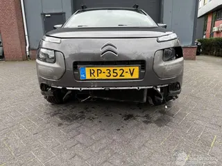 Citroën C4 cactus 2018 photo 9