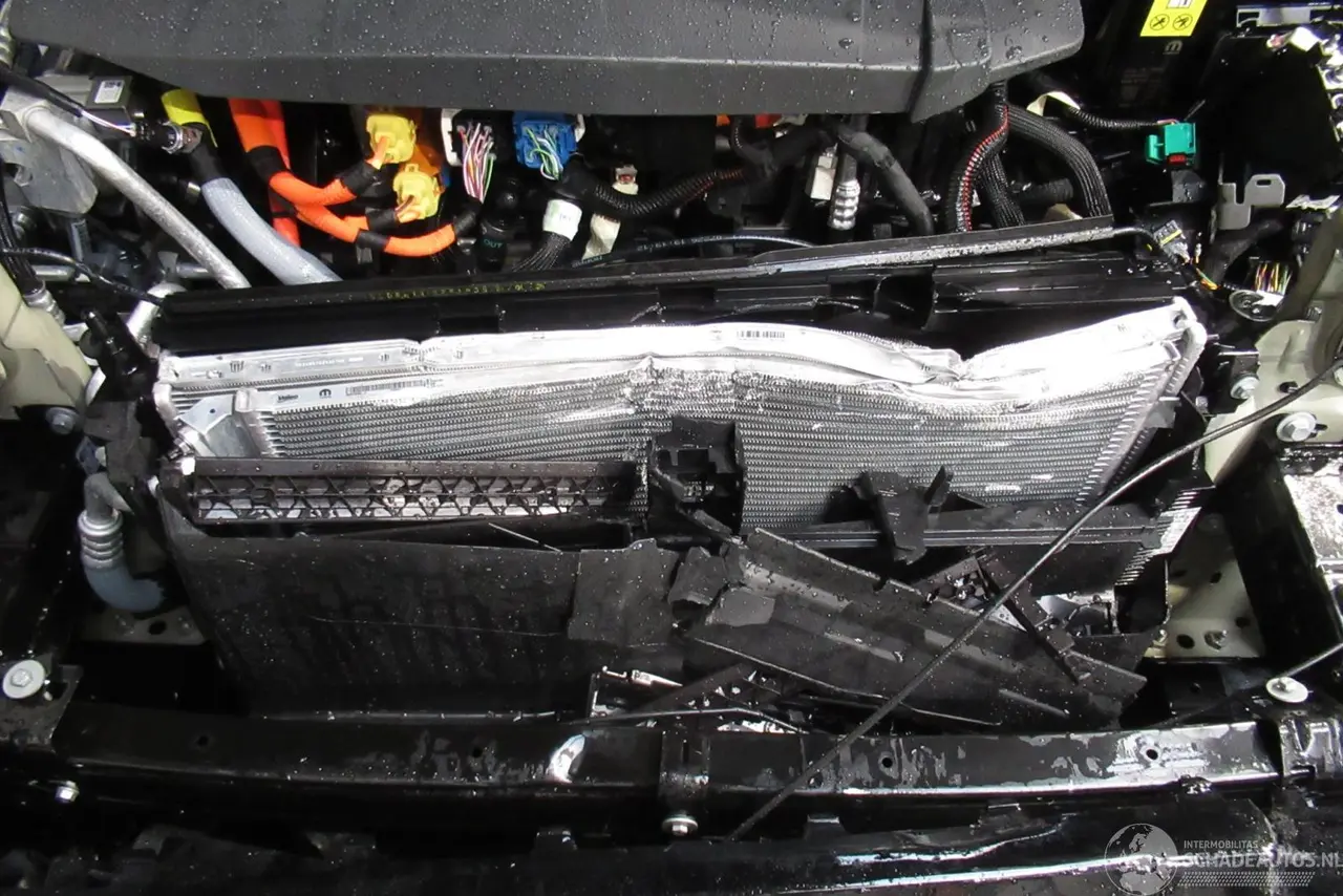 Peugeot 3008 2026 photo 11