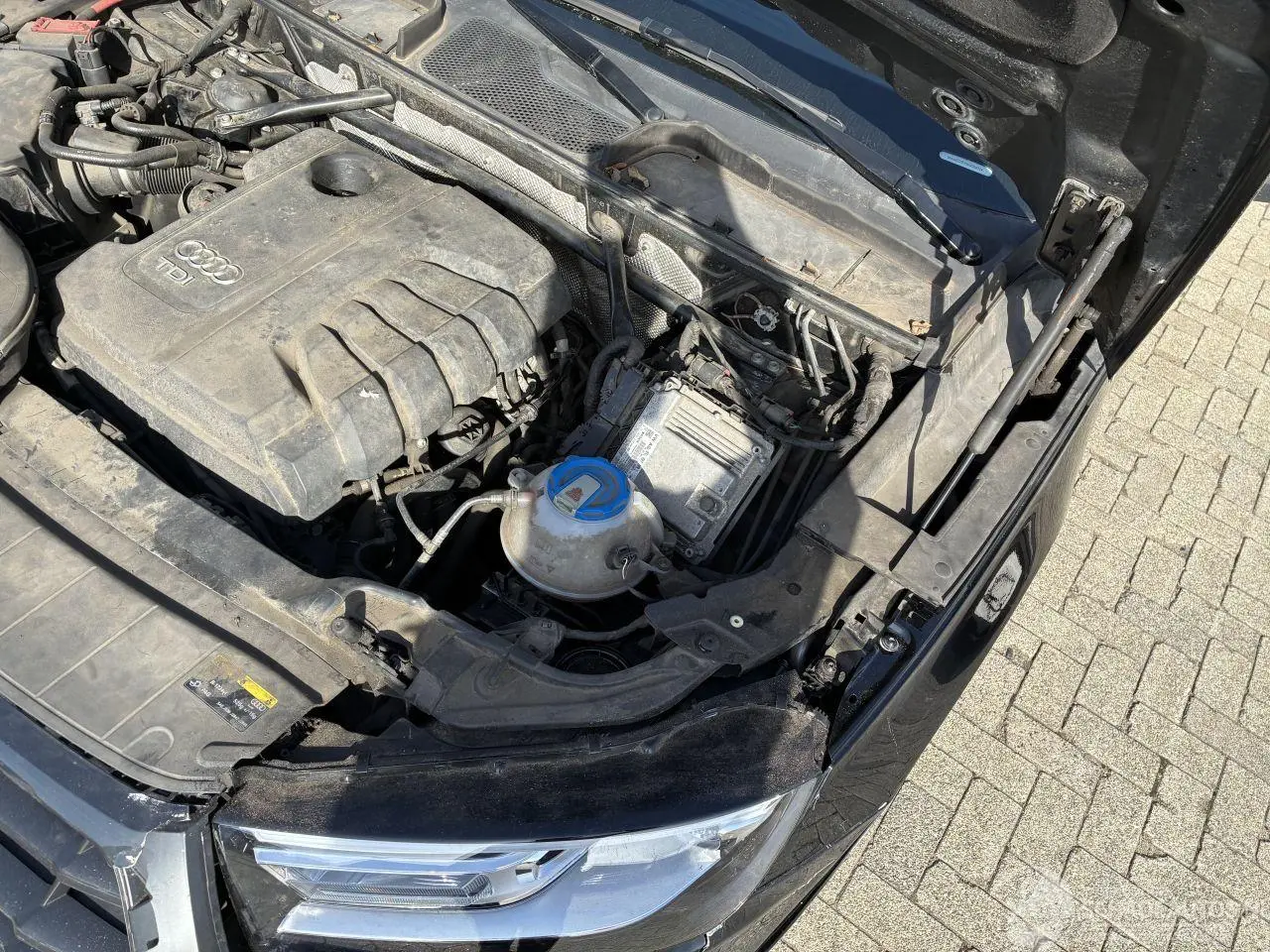 Audi Q5 2017 фото 7