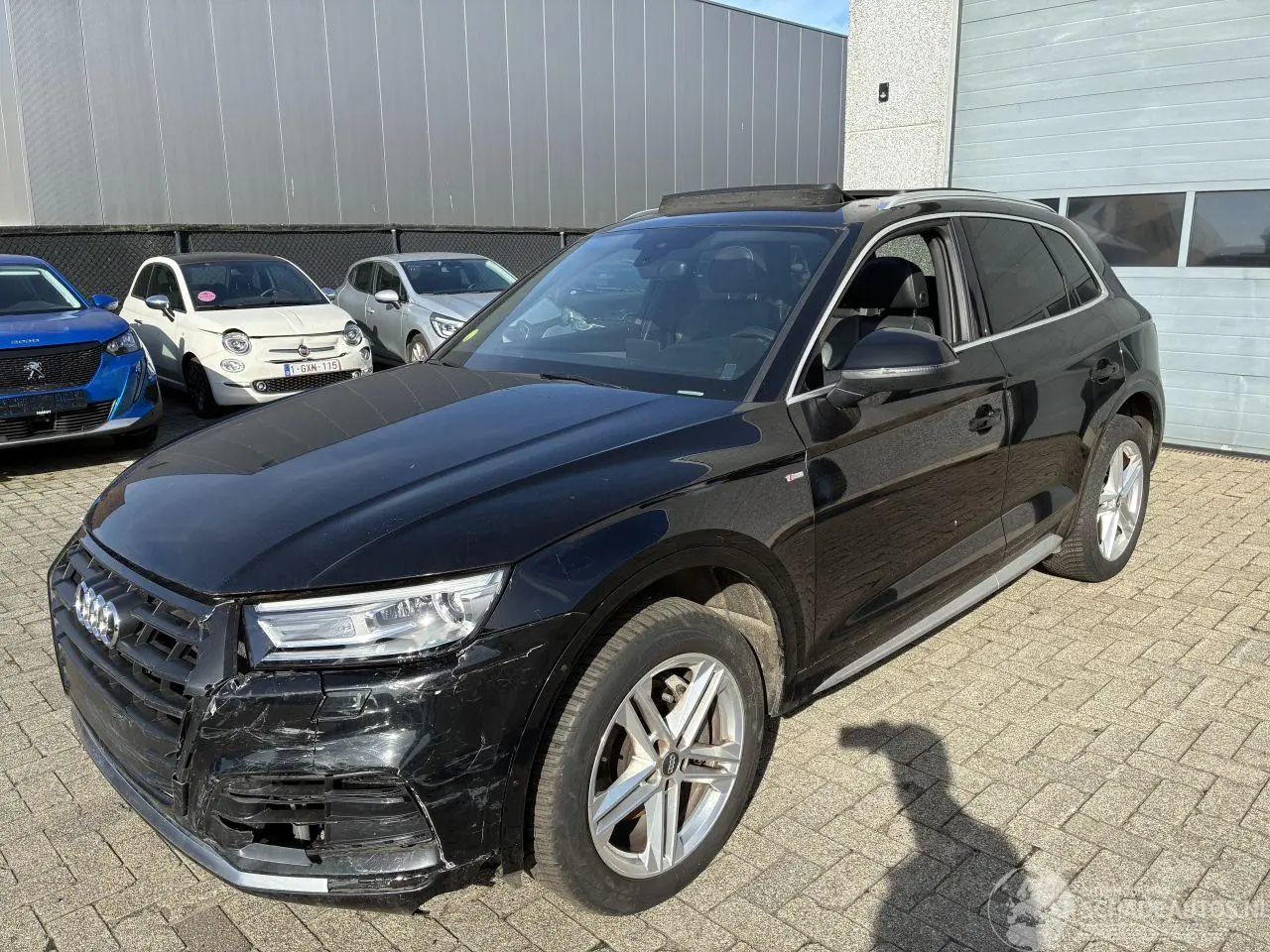Audi Q5 2017 фото 1