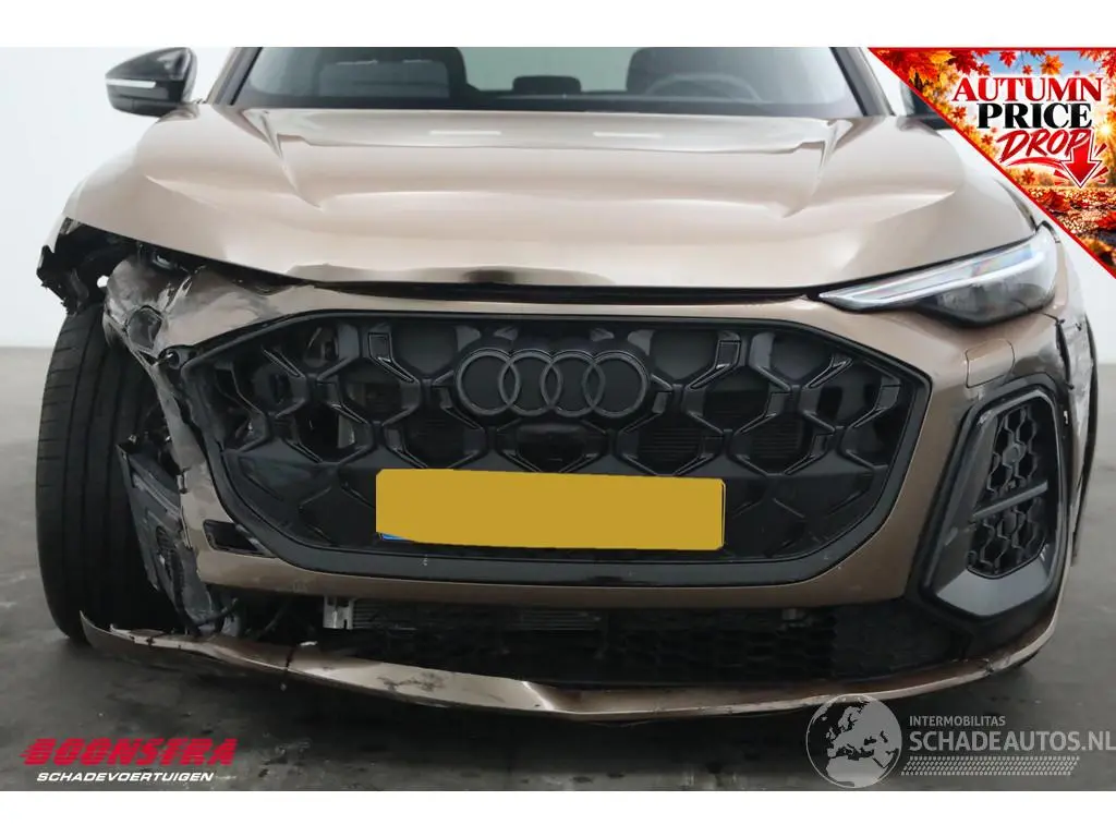 Audi Q5 2026 photo 10