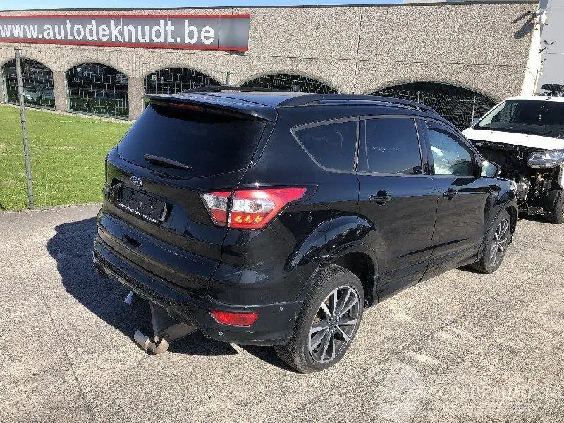 Ford Kuga 2019 фото 1