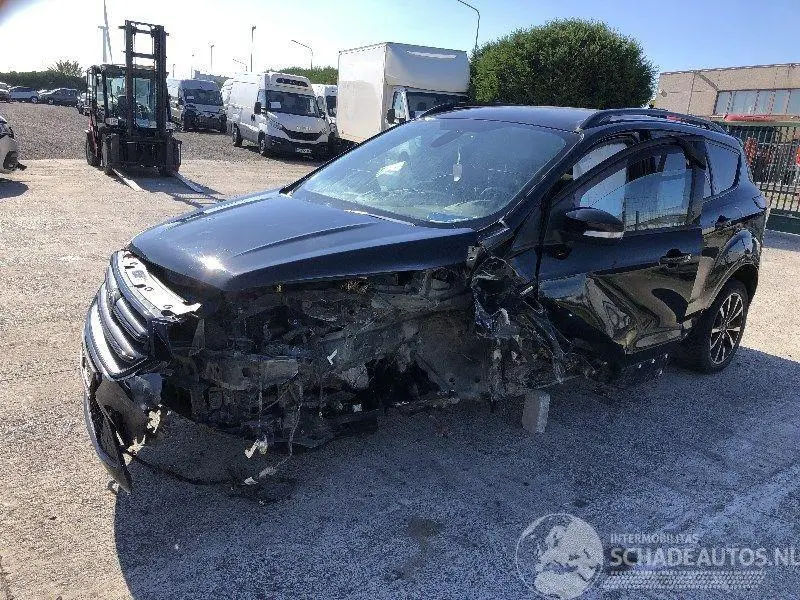 Ford Kuga 2019 фото 3