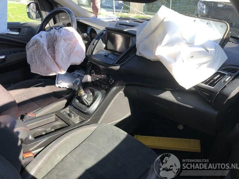 Ford Kuga 2019 фото 5