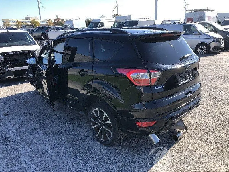 Ford Kuga 2019 фото 2