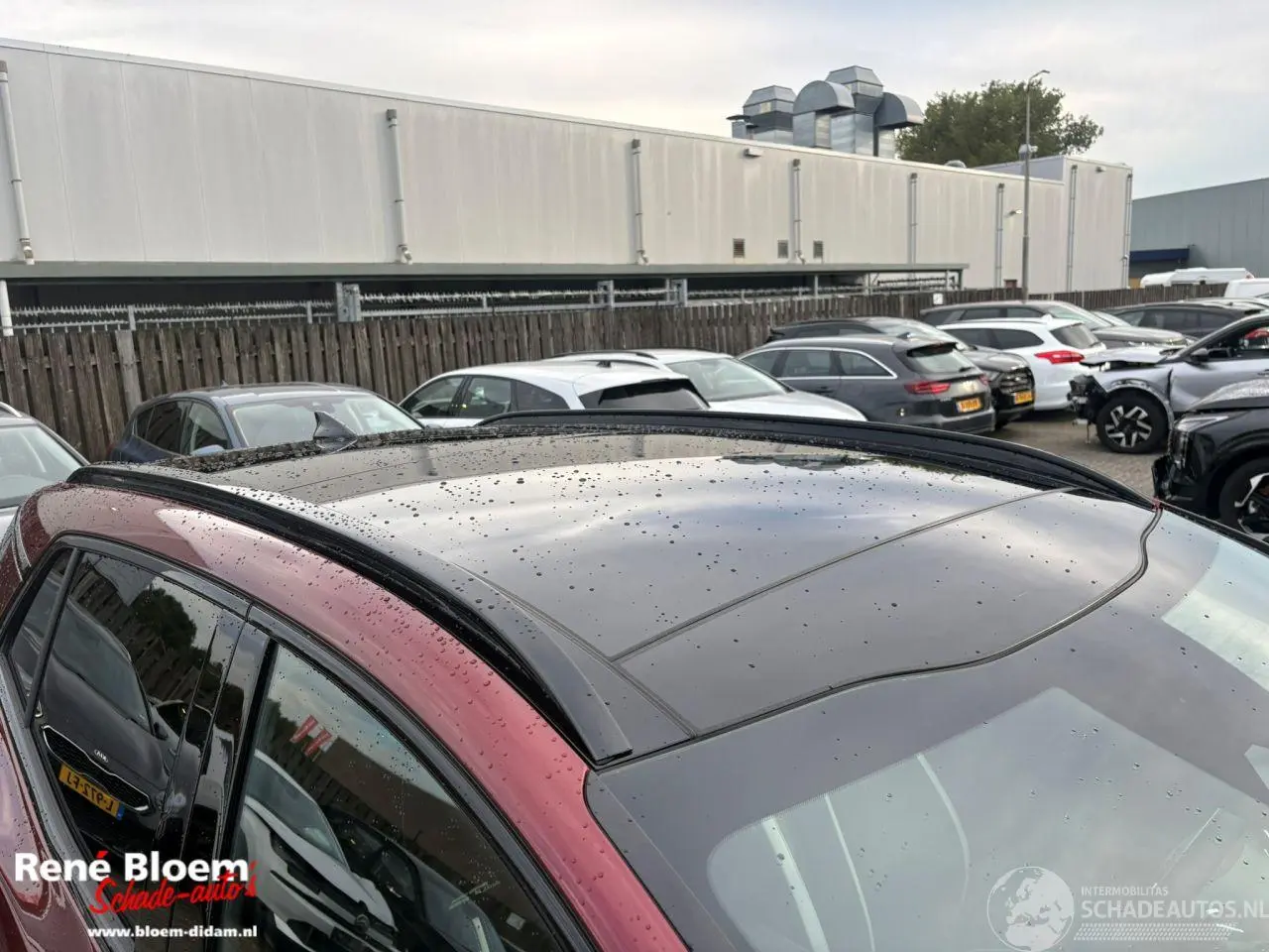 Kia Sportage 2026 фото 12
