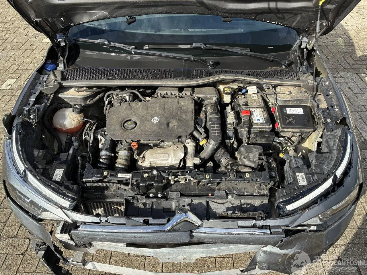 Citroën C4 2022 photo 6