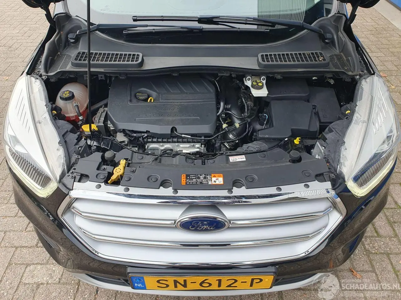 Ford Kuga 2018 фото 10