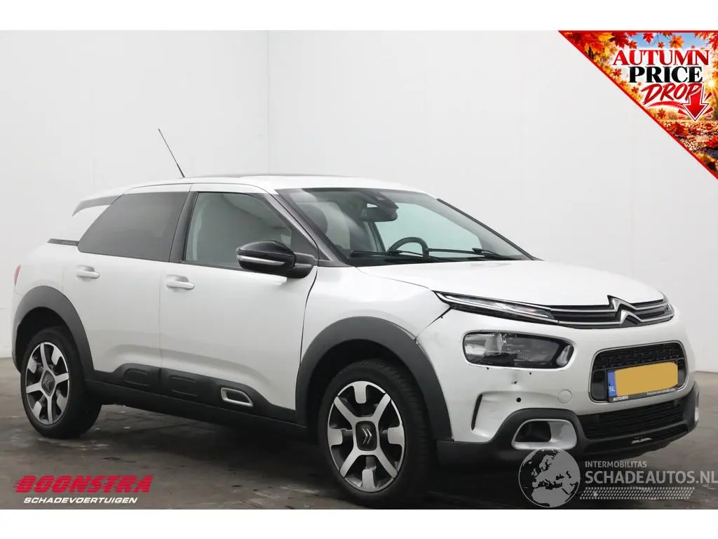 Citroën C4 cactus 2019 photo 2