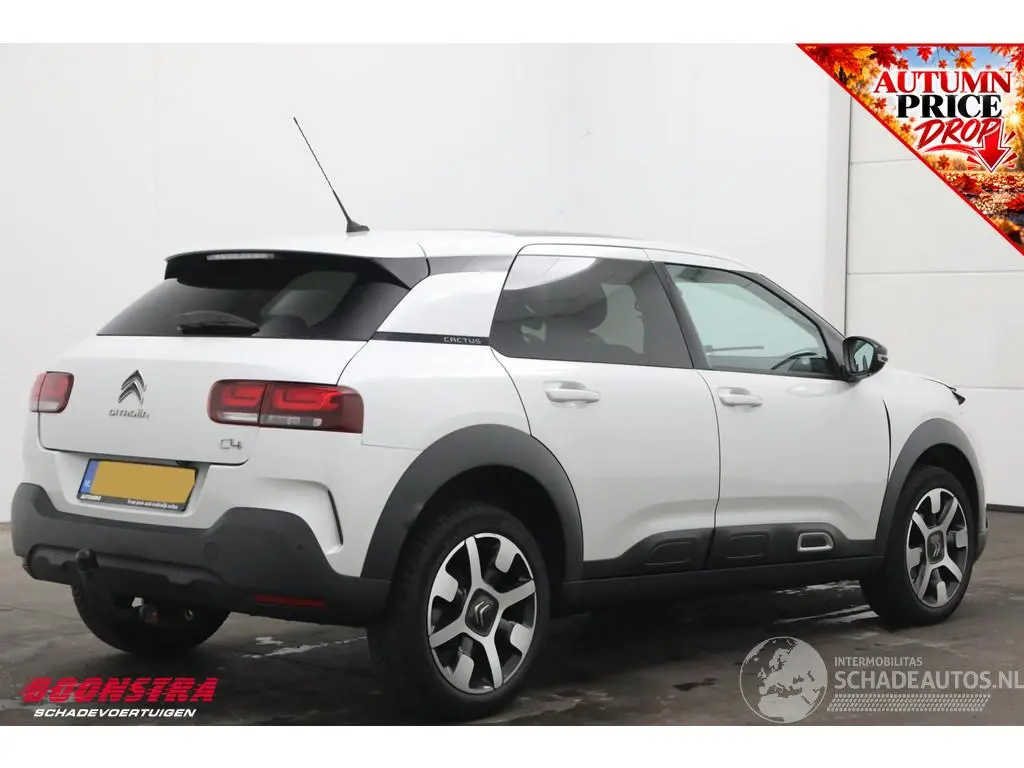 Citroën C4 cactus 2019 photo 3
