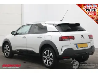 Citroën C4 cactus 2019 photo 4