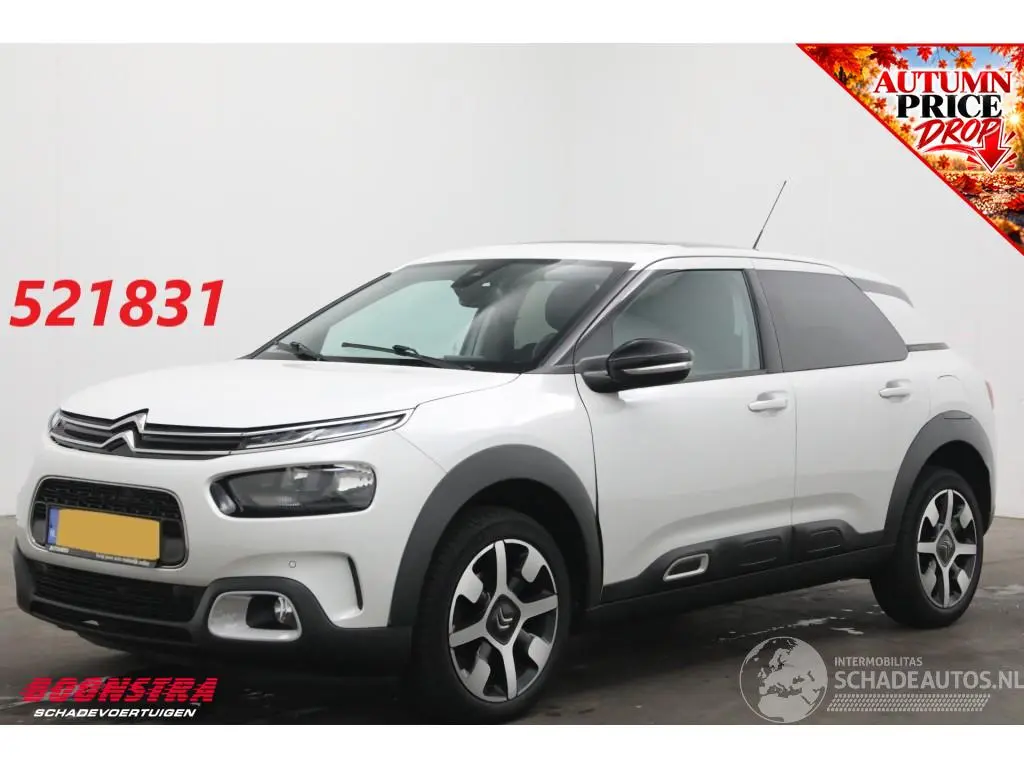Citroën C4 cactus 2019 photo 1
