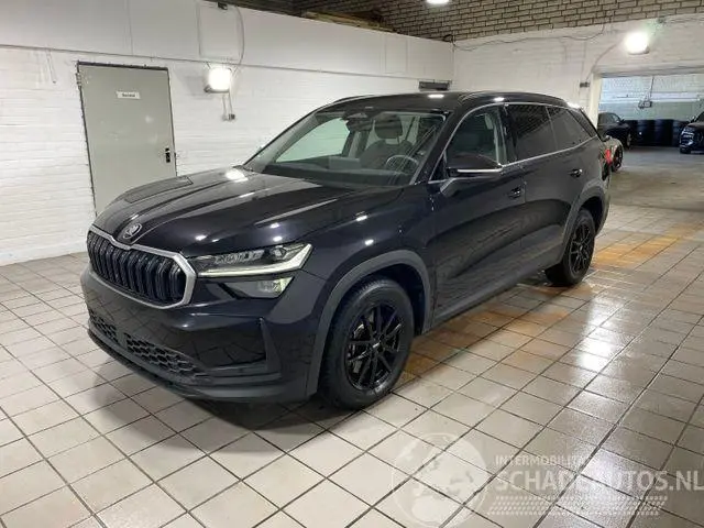 Skoda Kodiaq 2025 photo 1