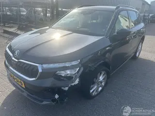 Skoda Kamiq 2024 фото 1