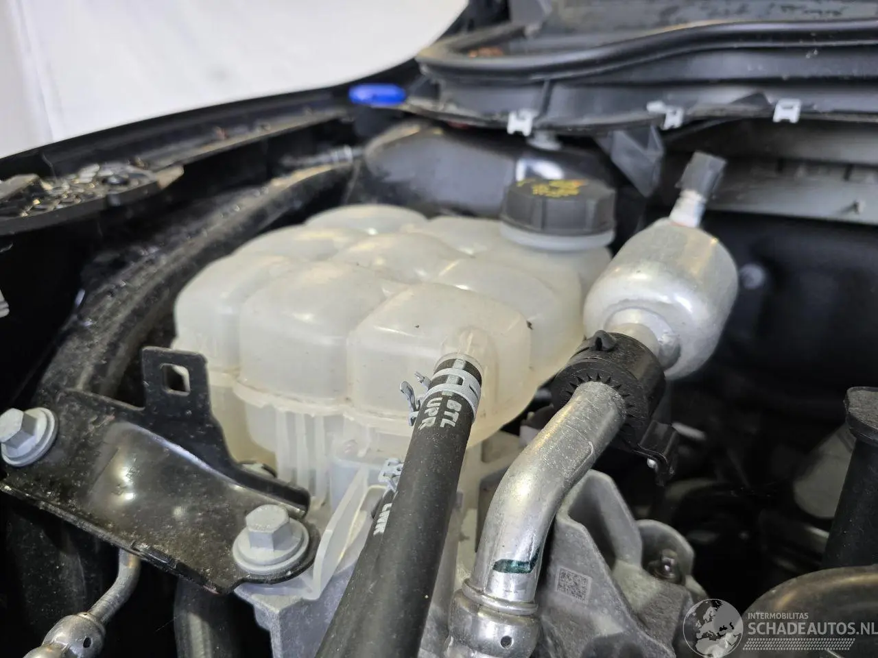 Ford Focus 2025 photo 12