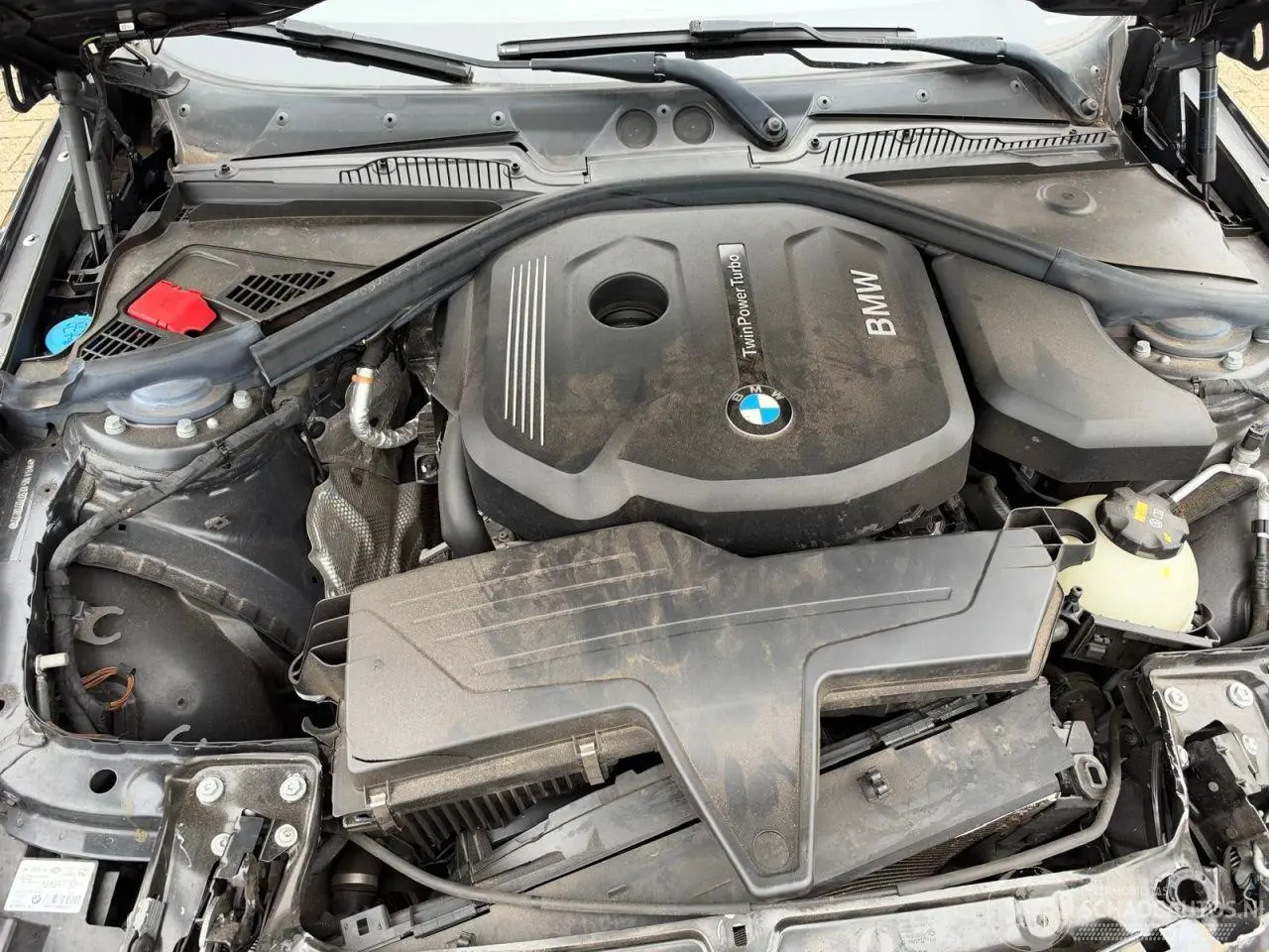 BMW 1-serie 2019 photo 3