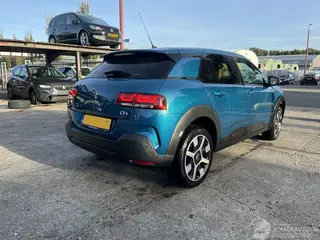 Citroën C4 cactus 2019 photo 7