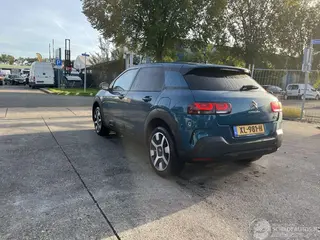 Citroën C4 cactus 2019 photo 4