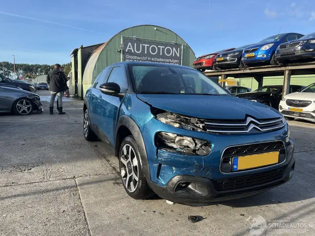 Citroën C4 cactus, 2019