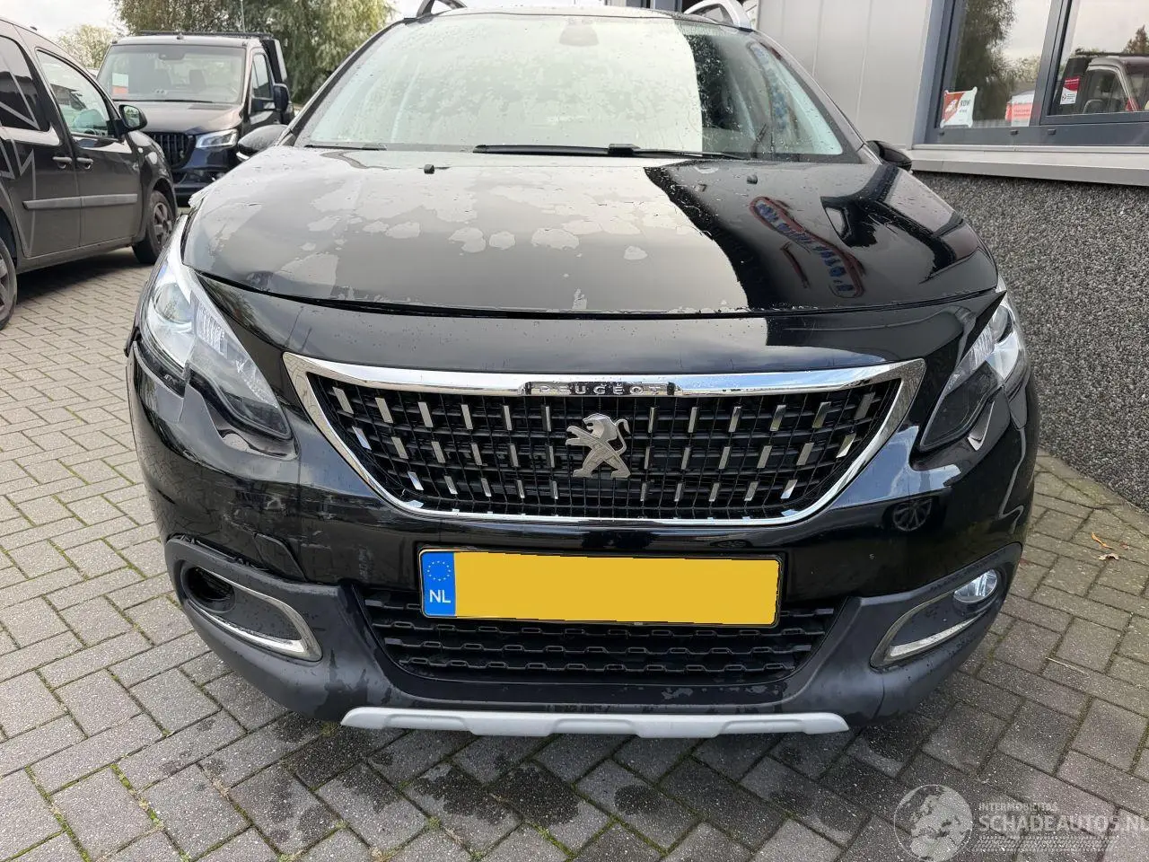 Peugeot 2008 2019 фото 12