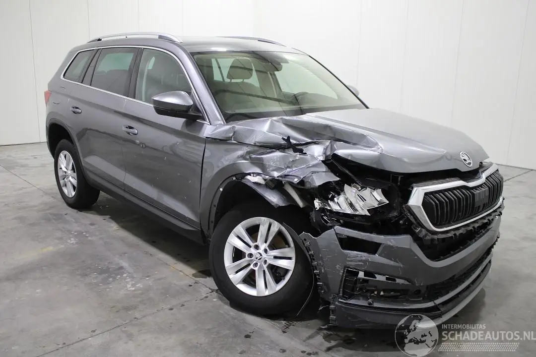 Skoda Kodiaq 2022 foto 2