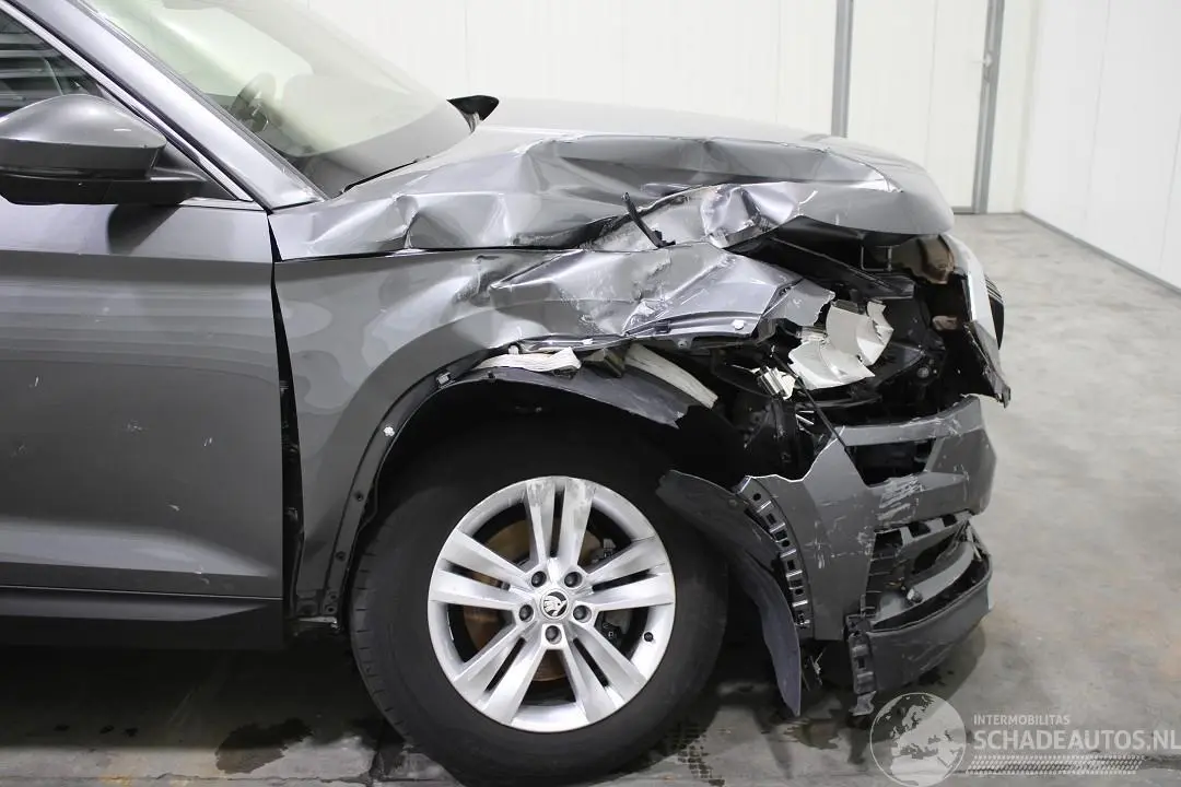 Skoda Kodiaq 2022 foto 7