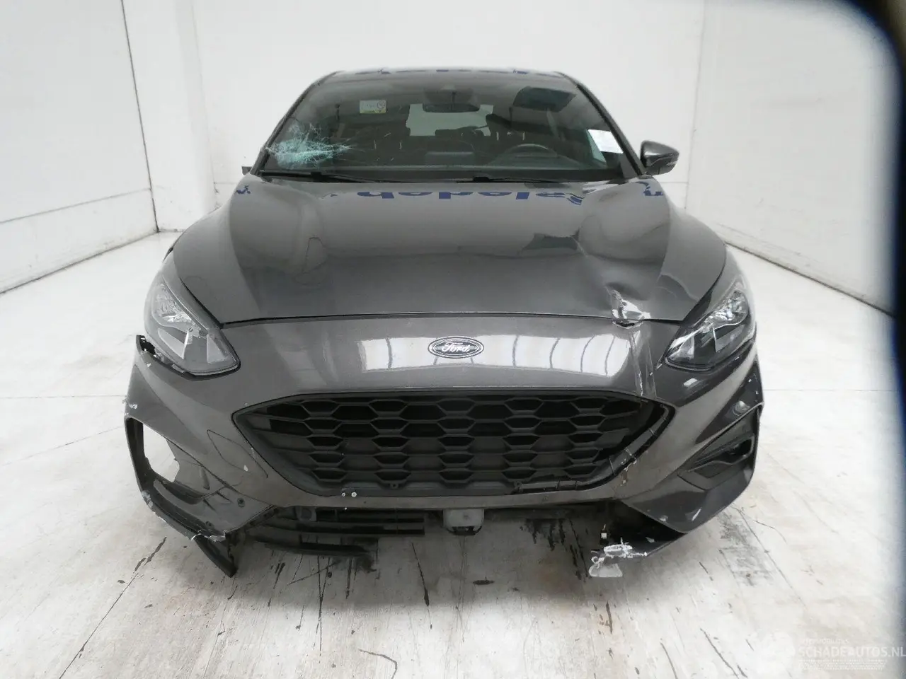 Ford Focus 2020 фото 2