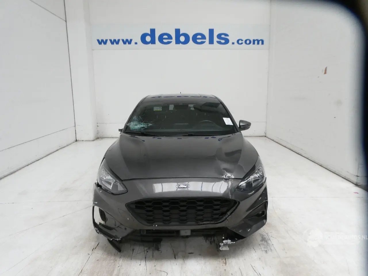 Ford Focus 2020 фото 1