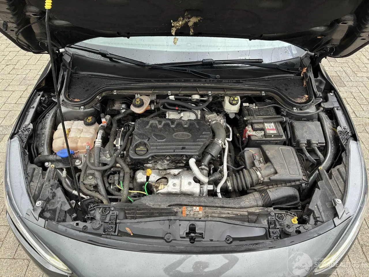 Ford Focus 2022 photo 7