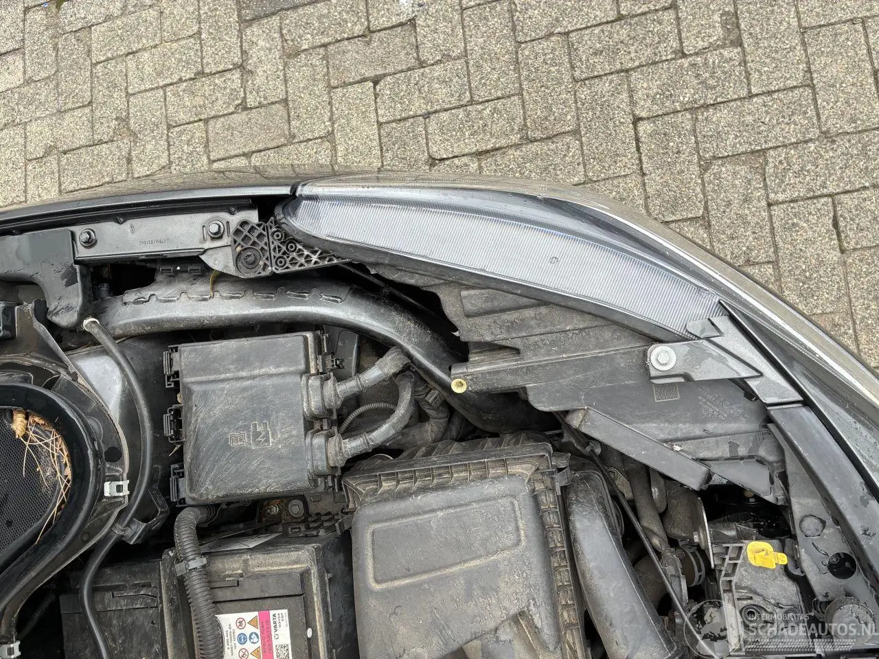 Ford Focus 2022 photo 8