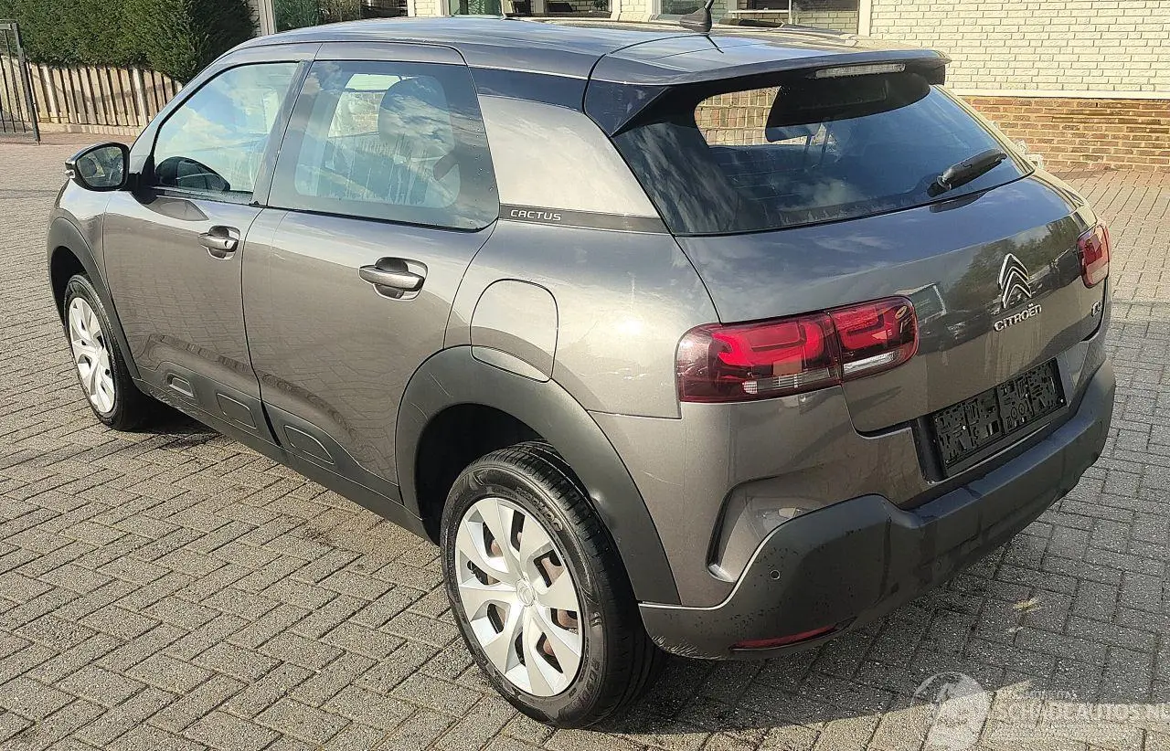 Citroën C4 cactus 2018 photo 3