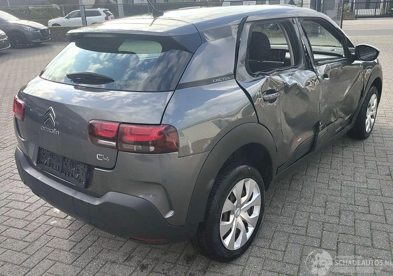Citroën C4 cactus 2018 photo 7