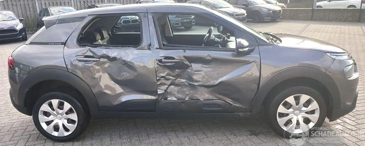 Citroën C4 cactus 2018 photo 6