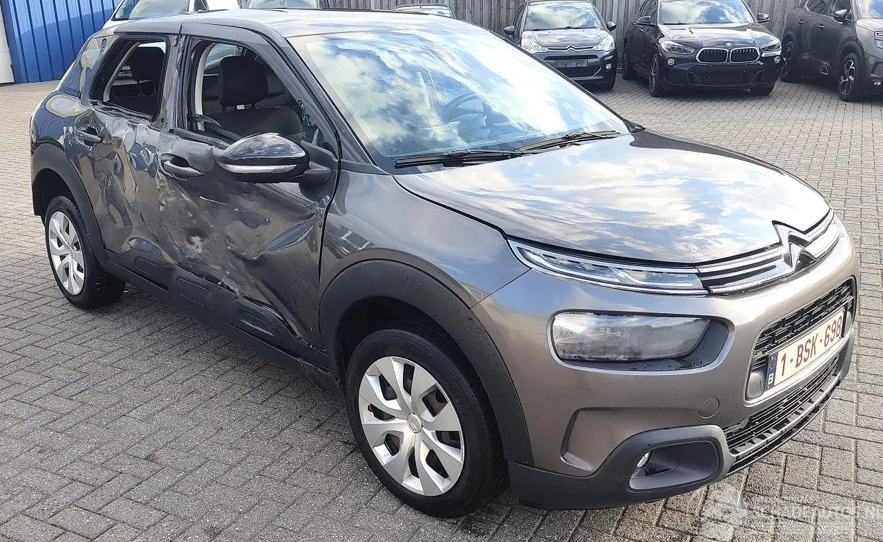 Citroën C4 cactus 2018 photo 5