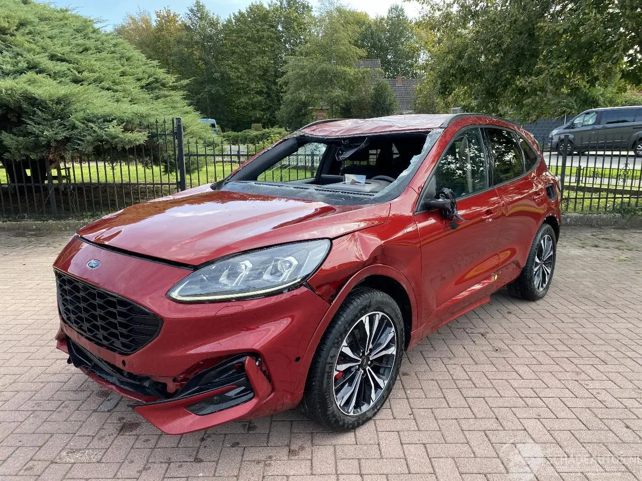 Ford Kuga 2020 фото 1