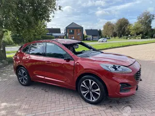 Ford Kuga 2020 фото 6