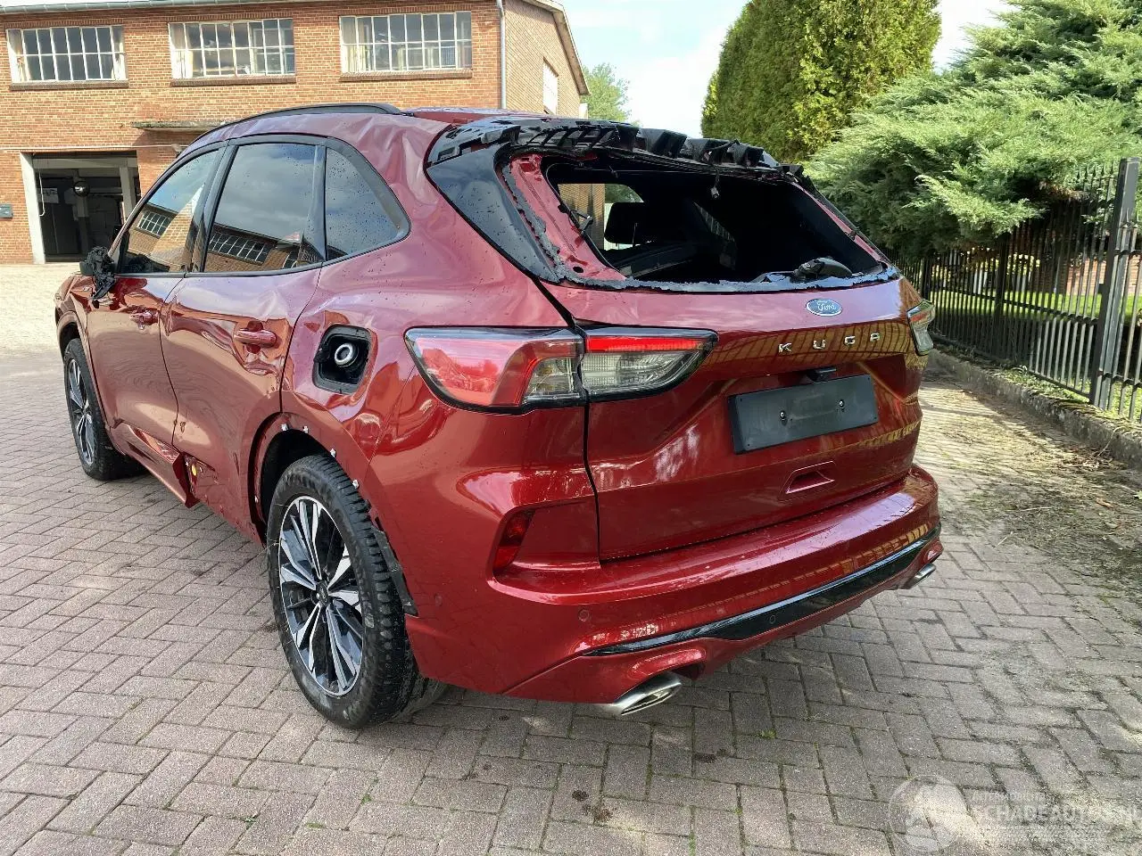 Ford Kuga 2020 фото 4