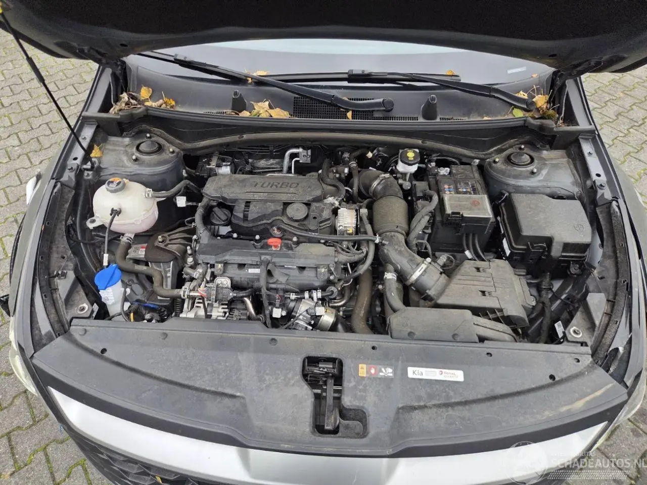 Kia Sportage 2025 photo 9