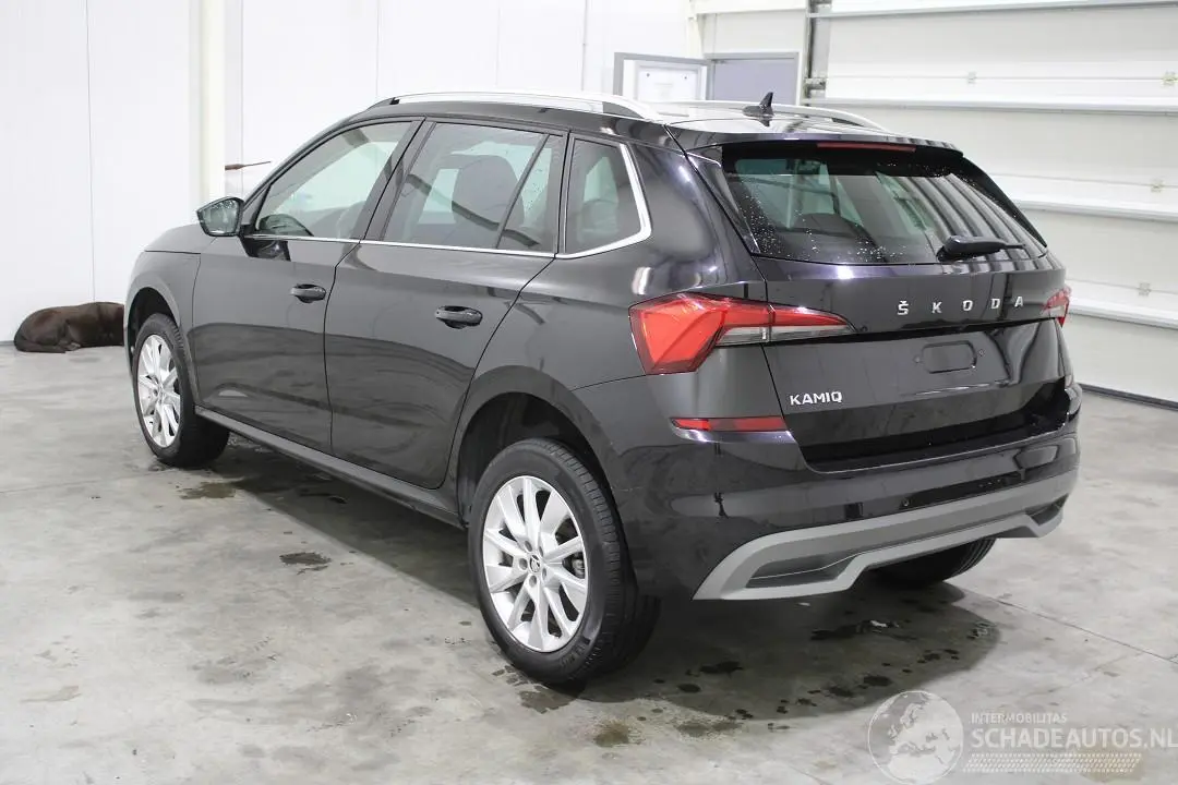 Skoda Kamiq 2023 фото 4