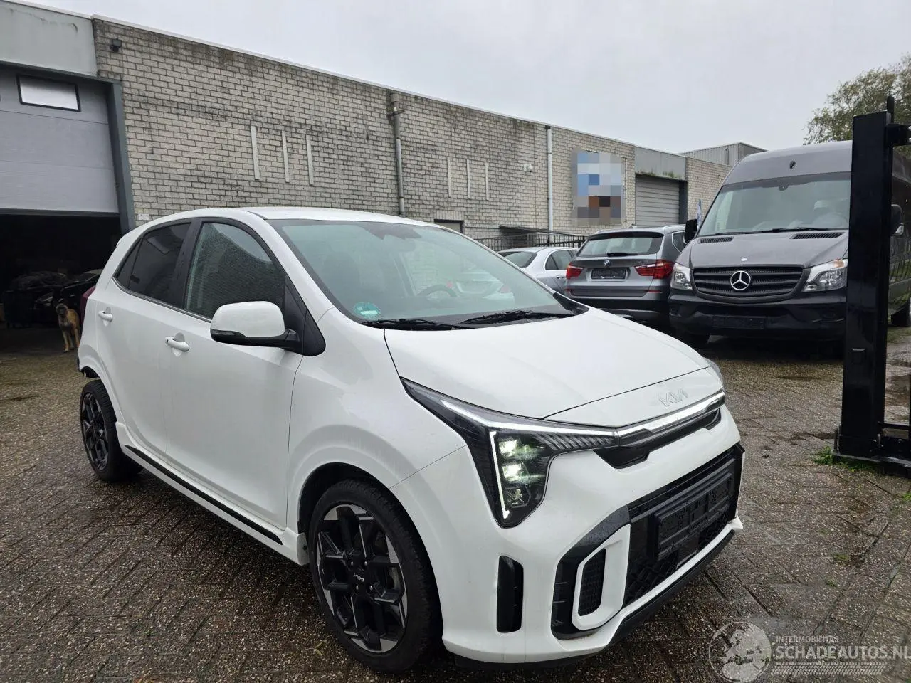 Kia Picanto 2025 photo 6