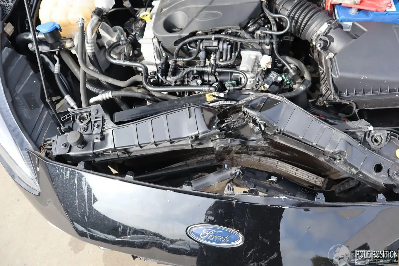 Ford Focus 2020 photo 11